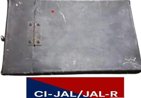 Punjab Police Bust Alleged Pakistan-Linked BKI Terror Module, Arrest Key Operative