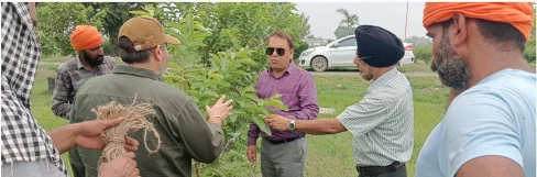 Dir Horticulture calls for introduction of latest cultivars, promote medicinal plants