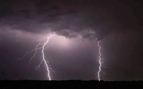 Over 50 Cattle Killed After Lightning Strikes In Poonch District Of J&K
