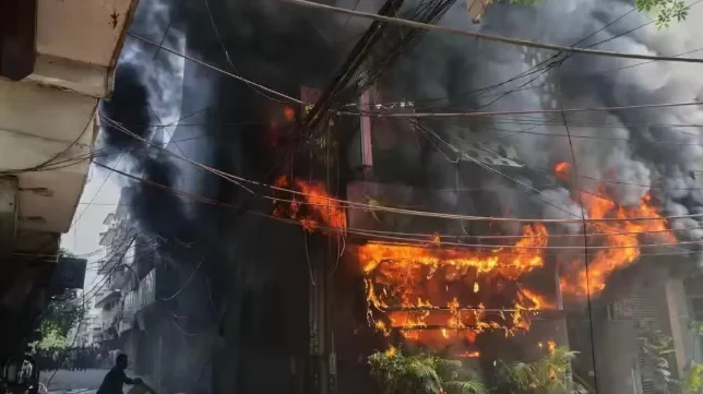 Delhi House Fire: Man Found Dead After Posting Suicide Video