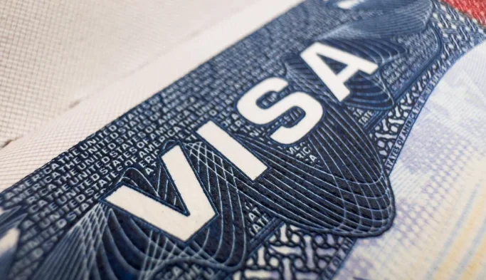 US Court Sentences Indian National In Visa Fraud Case, Orders Deportation